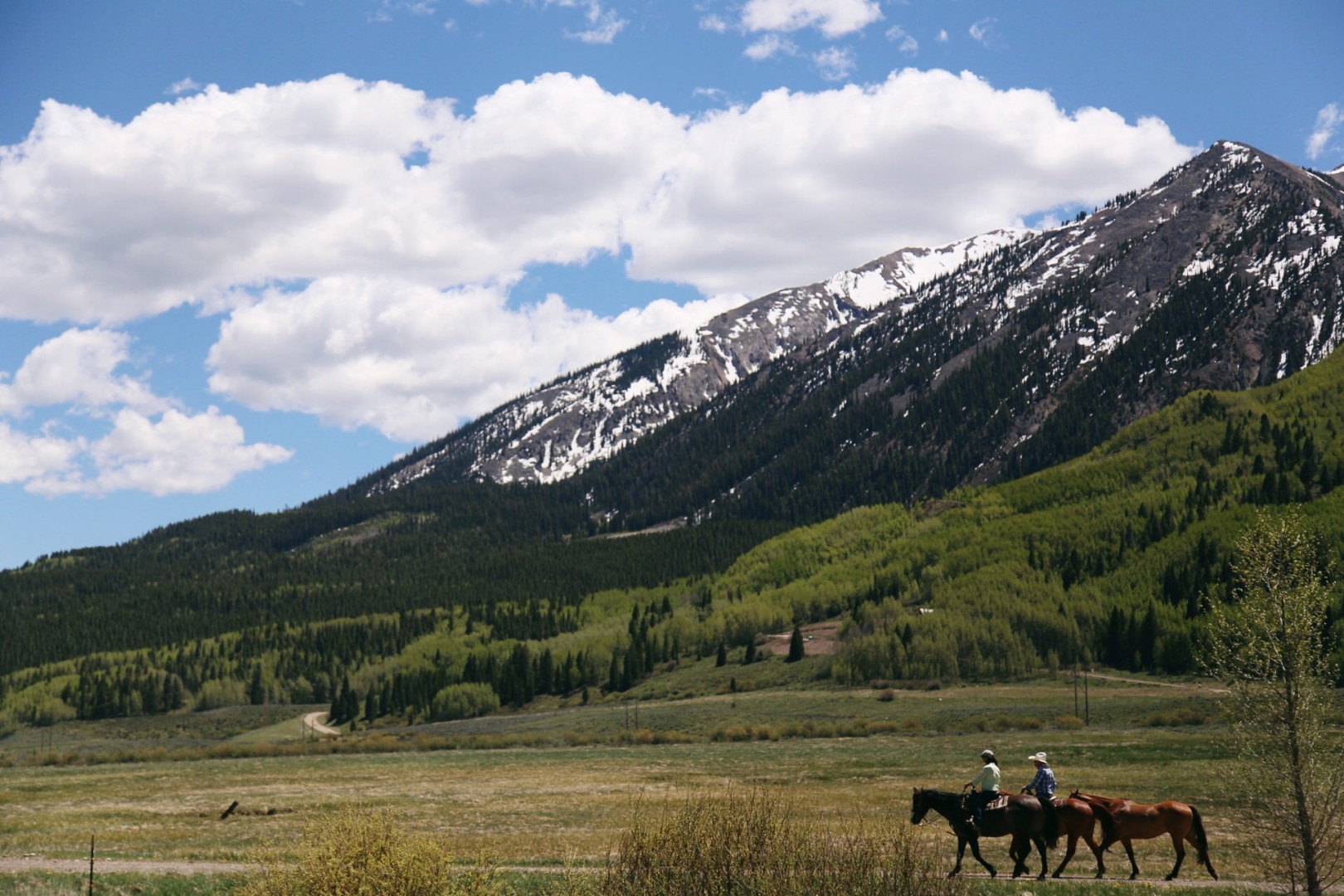 An incredible view of the country side in Crested Butte, CO. Andrea Watson | Clarion