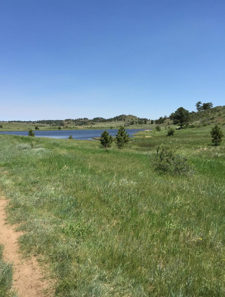 The view from Sydney and Otto's most recent hike. Sydney Kapp | Clarion