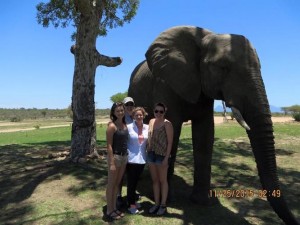 Junior Drew Hultgrem with an elephant in South Africa during her abroad experience. Photo courtesy of Drew Hultgrem