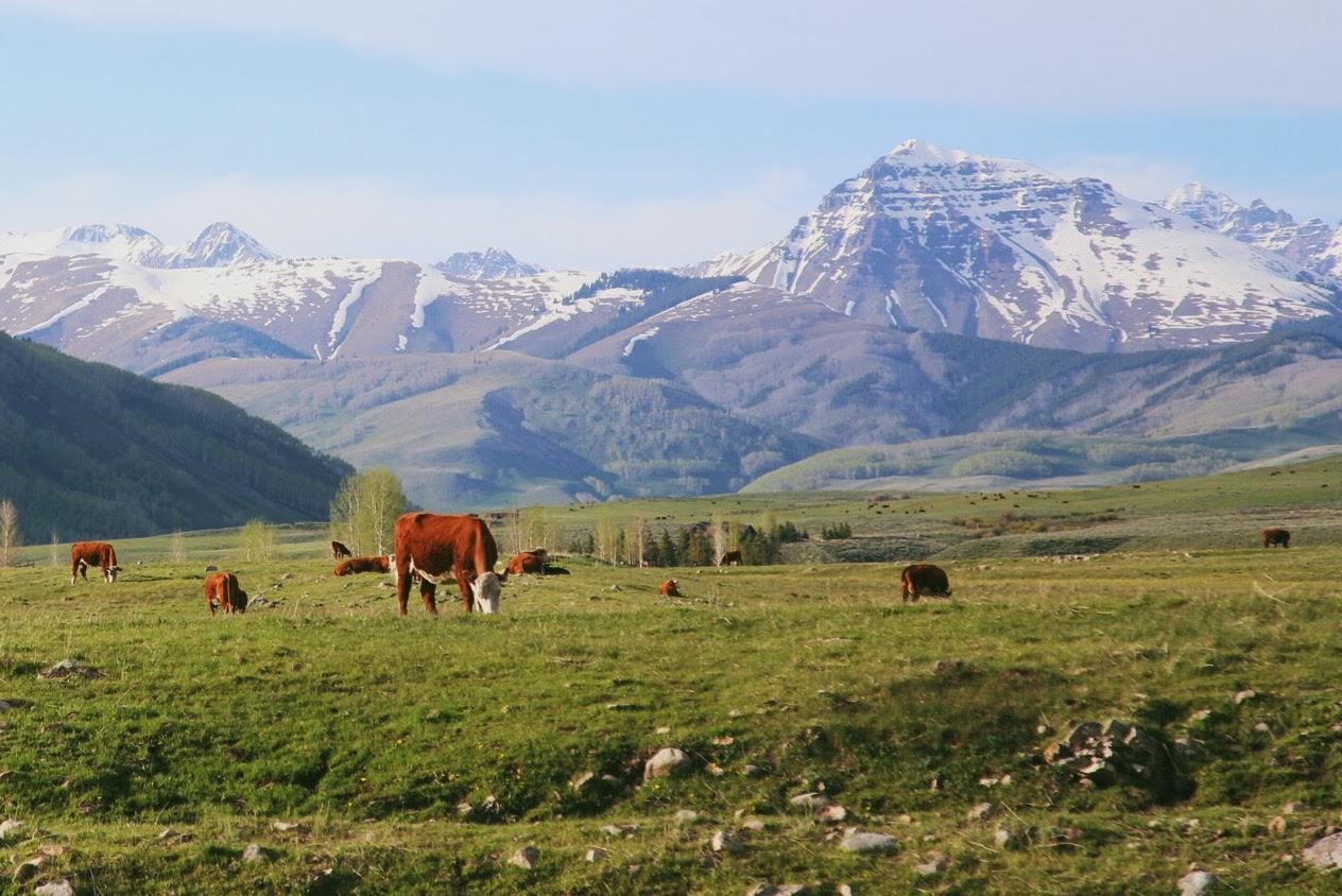 Crested Butte is reminiscent of a postcard. Andrea Watson | Clarion