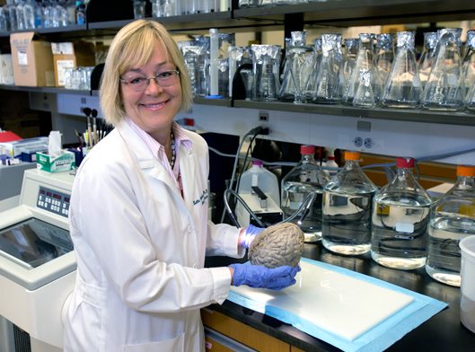 Dr. Lotta Granholm-Bentley discusses her research at Knoebel – DU Clarion