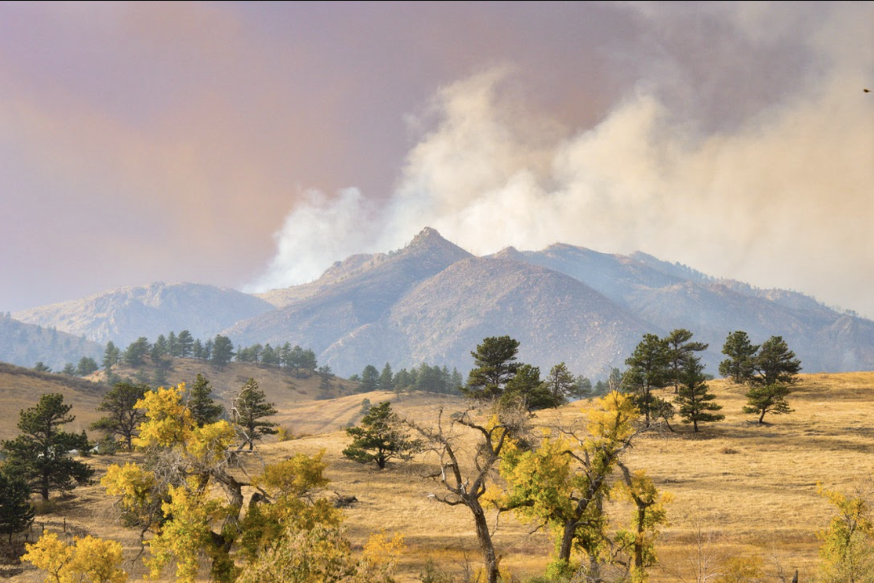 The implications of wildfires on our environment - DU Clarion