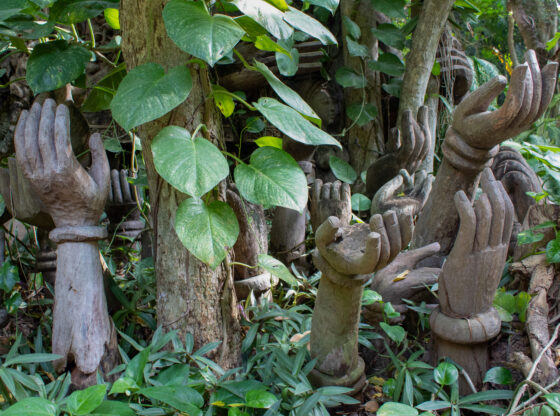 Wooden hands reaching from the leafy soil