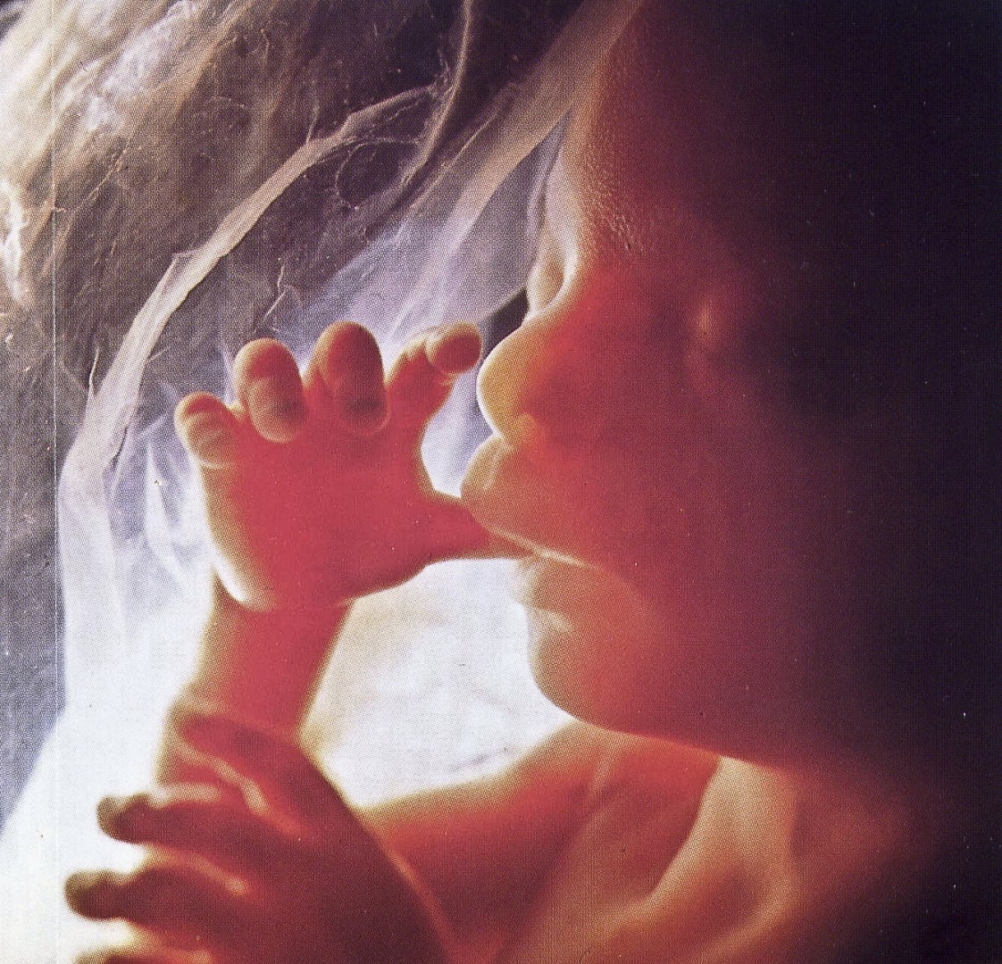 picture-of-unborn-baby-baby-viewer